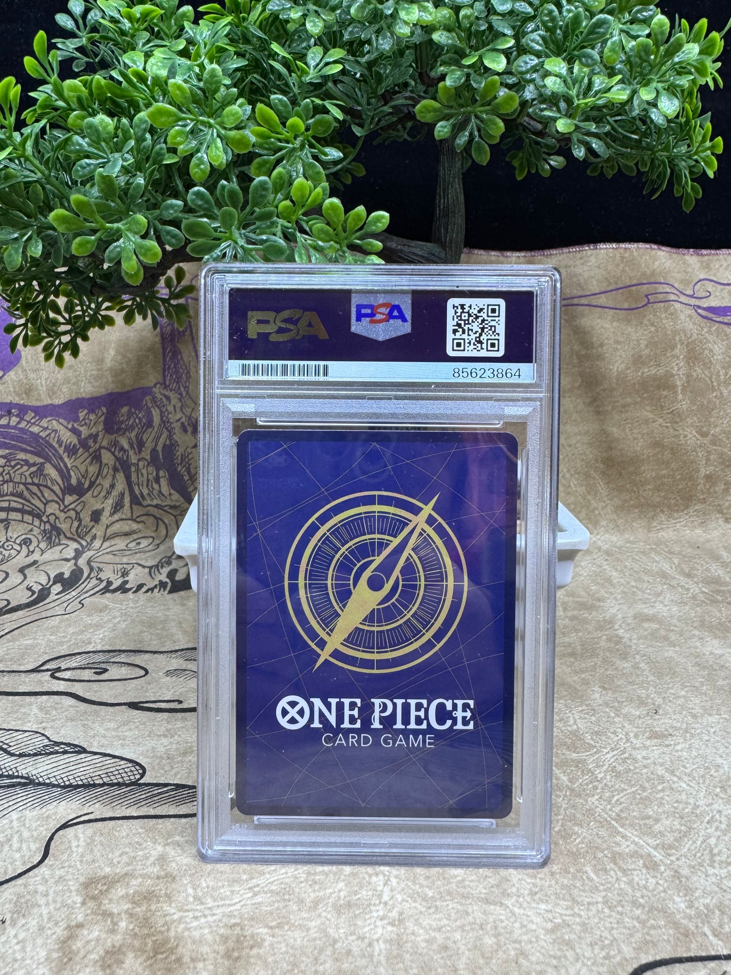 Monkey D. Luffy Exclusive PSA Blue Label Autograph Slab