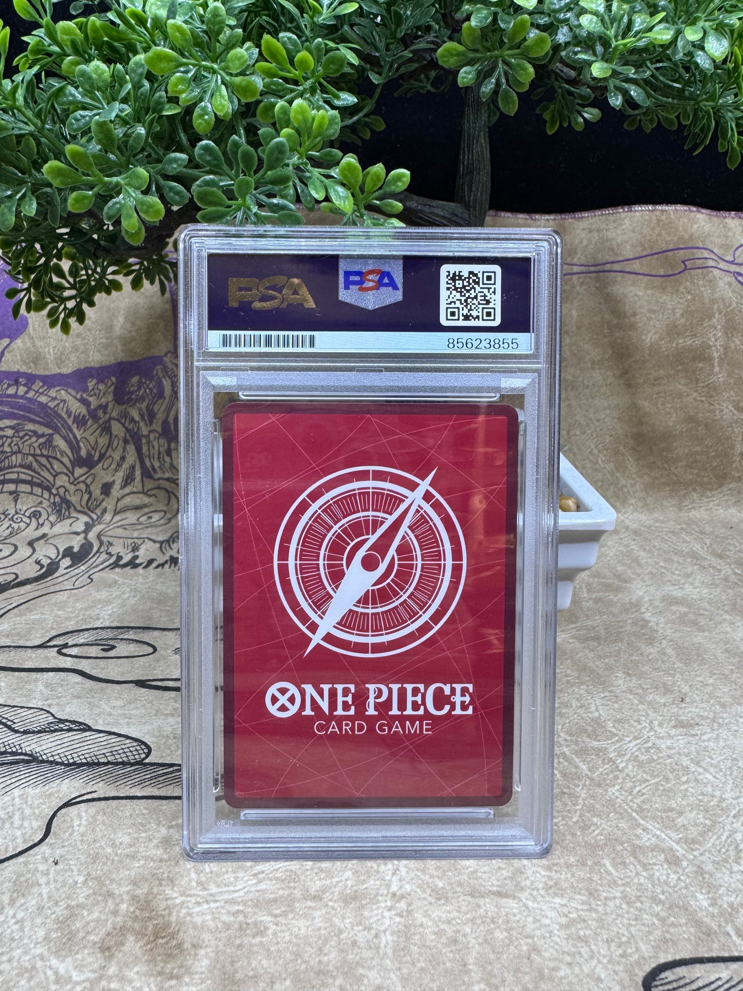 Monkey D. Luffy Exclusive PSA Blue Label Autograph Slab