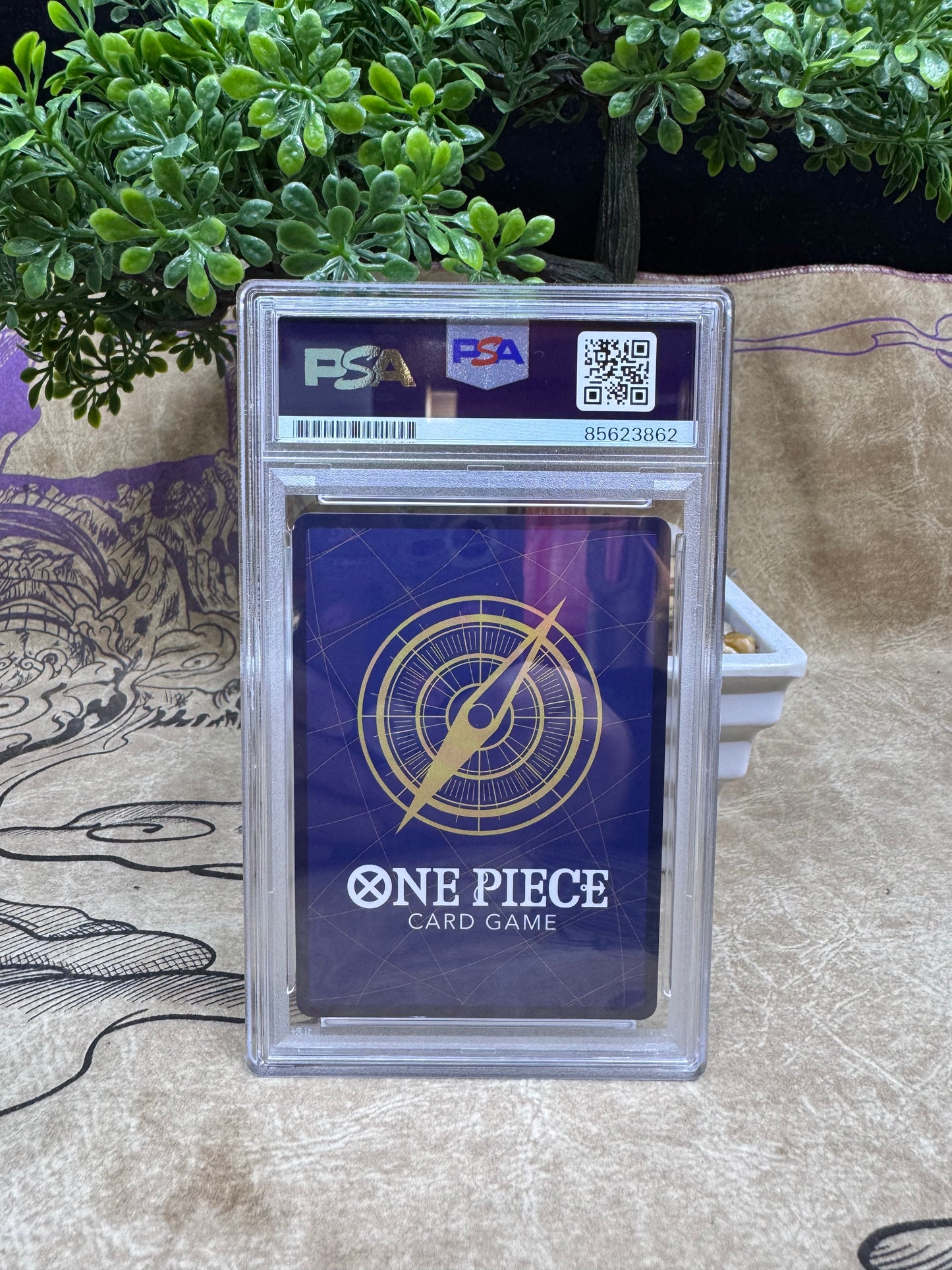 Monkey D. Luffy Exclusive PSA Blue Label Autograph Slab