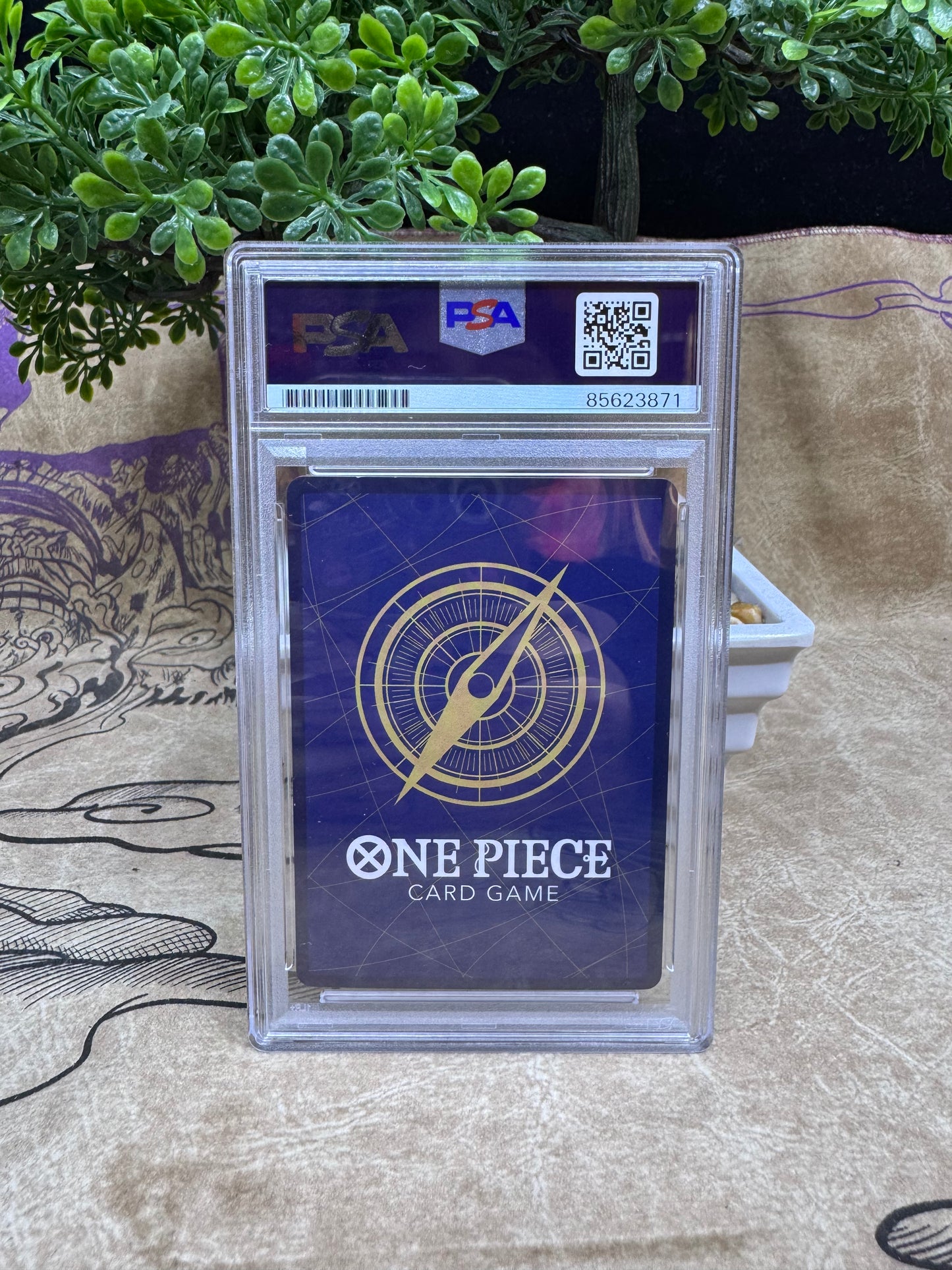 Monkey D. Luffy Exclusive PSA Blue Label Autograph Slab