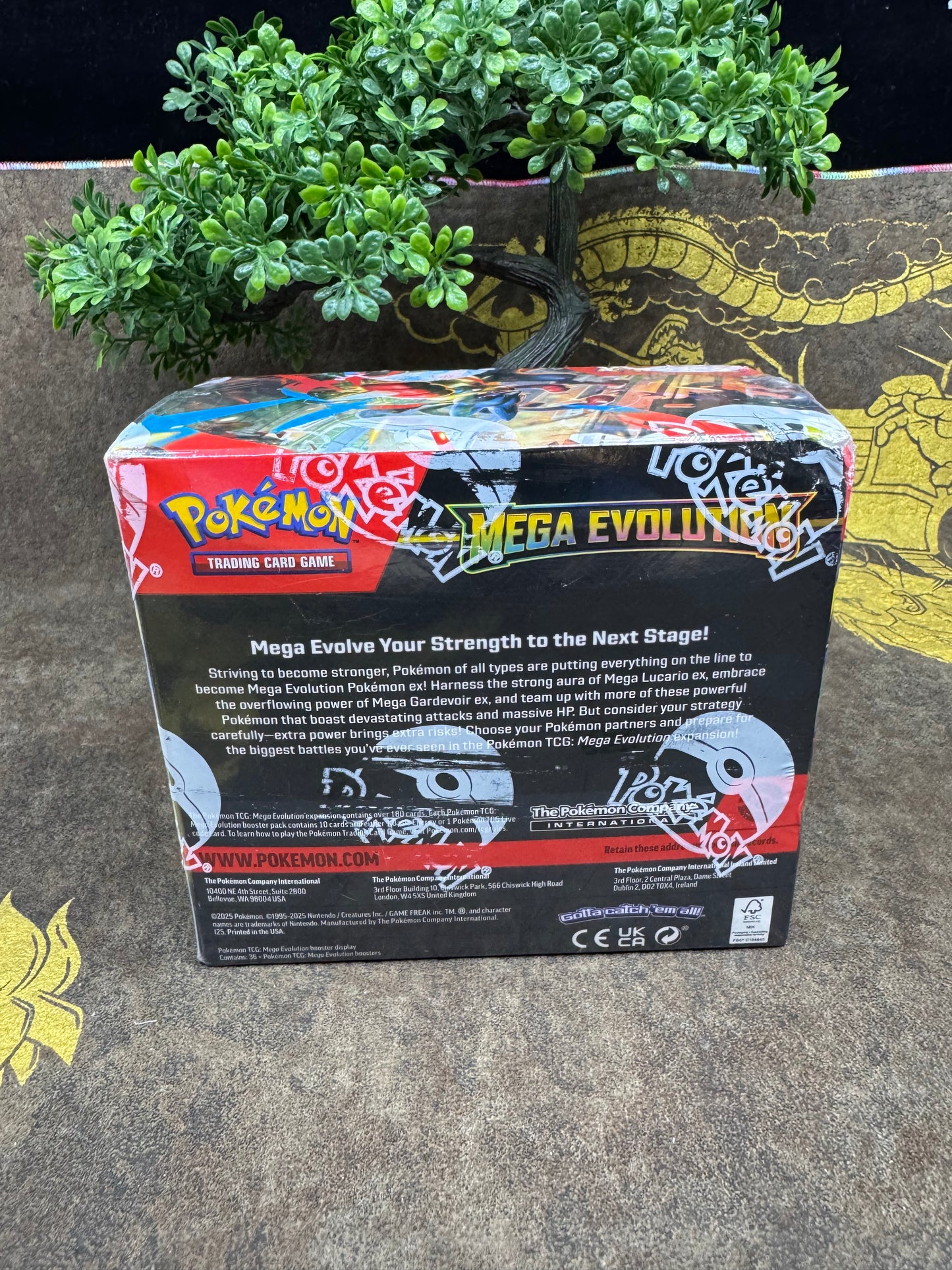 Pokemon - Booster Box - ME01 Mega Evolution