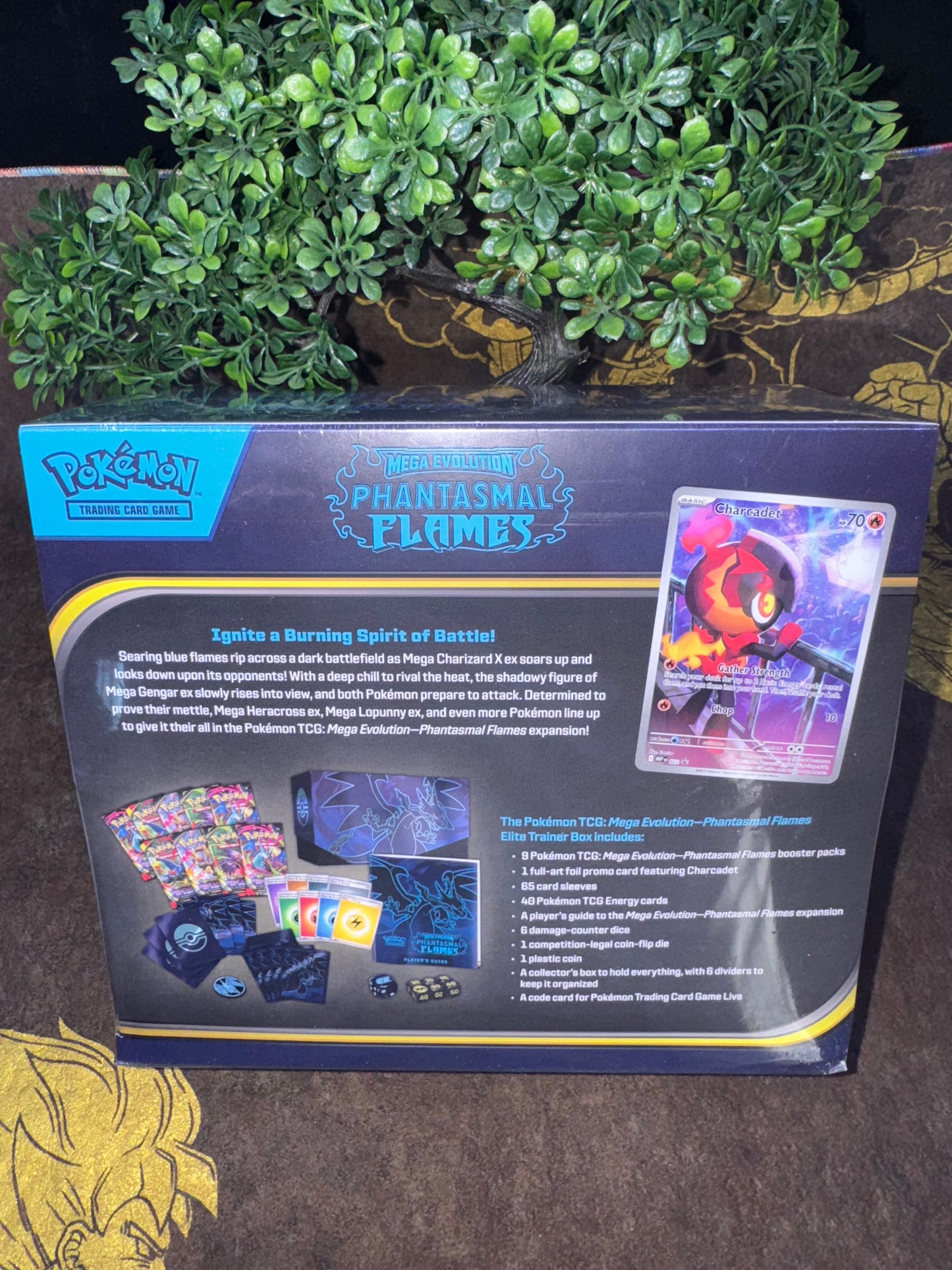 Pokemon - Elite Trainer Box - Phantasmal Flames