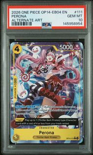 PSA & Beckett 10 Slab Club – Tier 1 (One Piece Monthly Subscription)